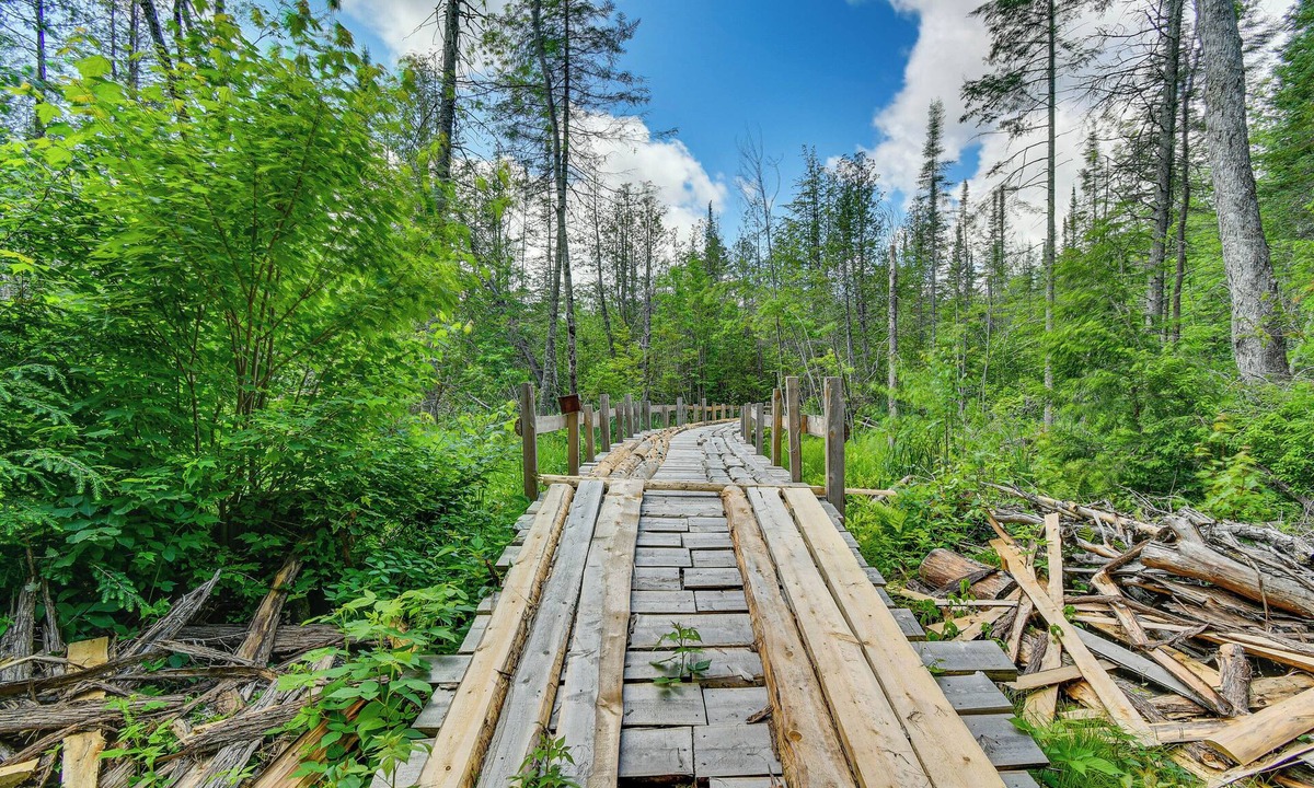 Coldsprings Township Cottage | 400-acre Outdoor Enthusiast's Lodge in Mancelona!