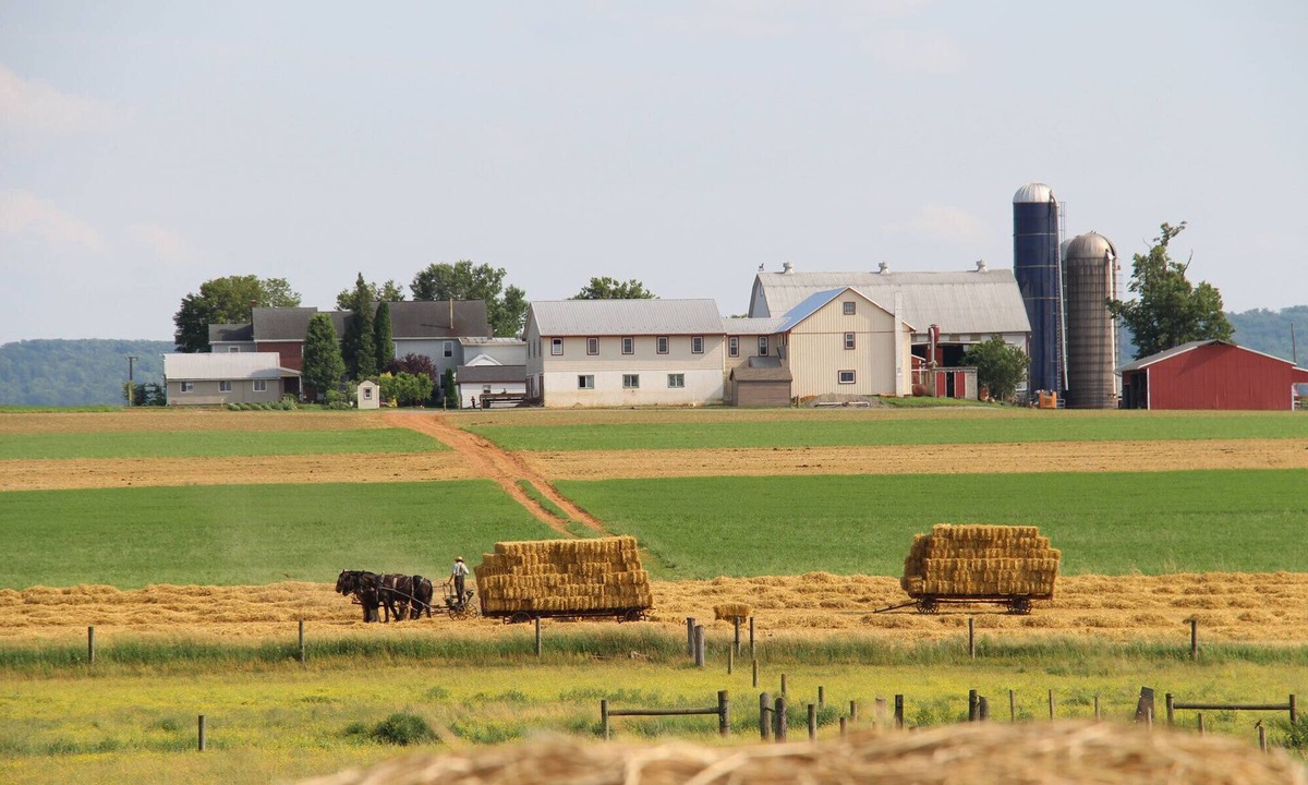 Gordonville House | Lancaster County Amish Farm Stay - Near Kitchen Kettle Village in Intercourse