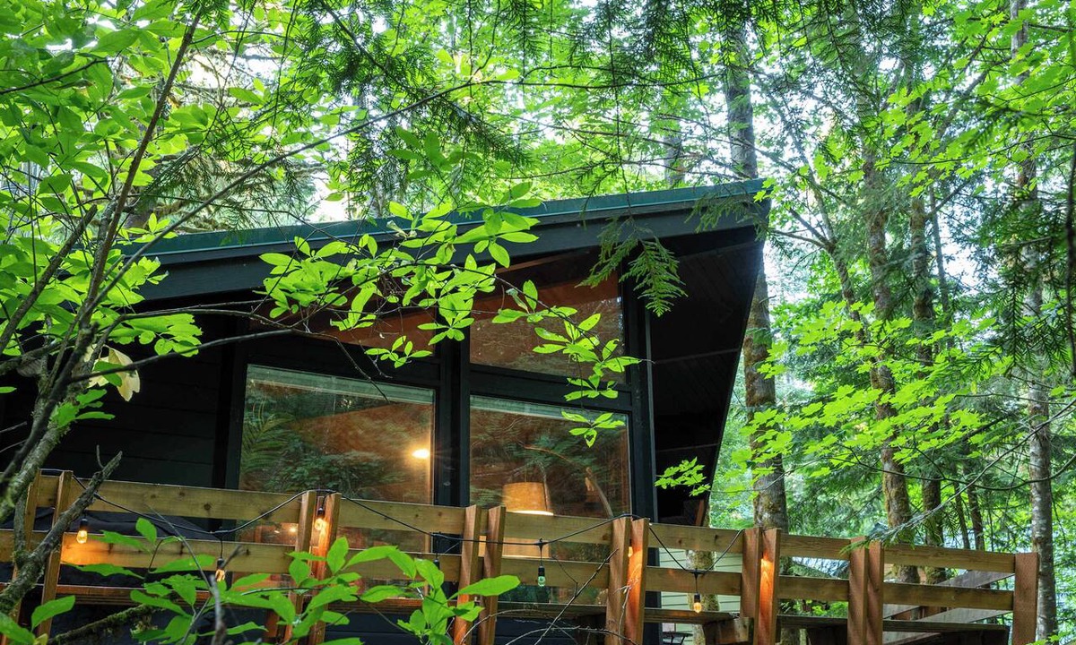 Rhododendron House | Mid-Century Cabin Hideaway - Hot Tub & Fire Pit