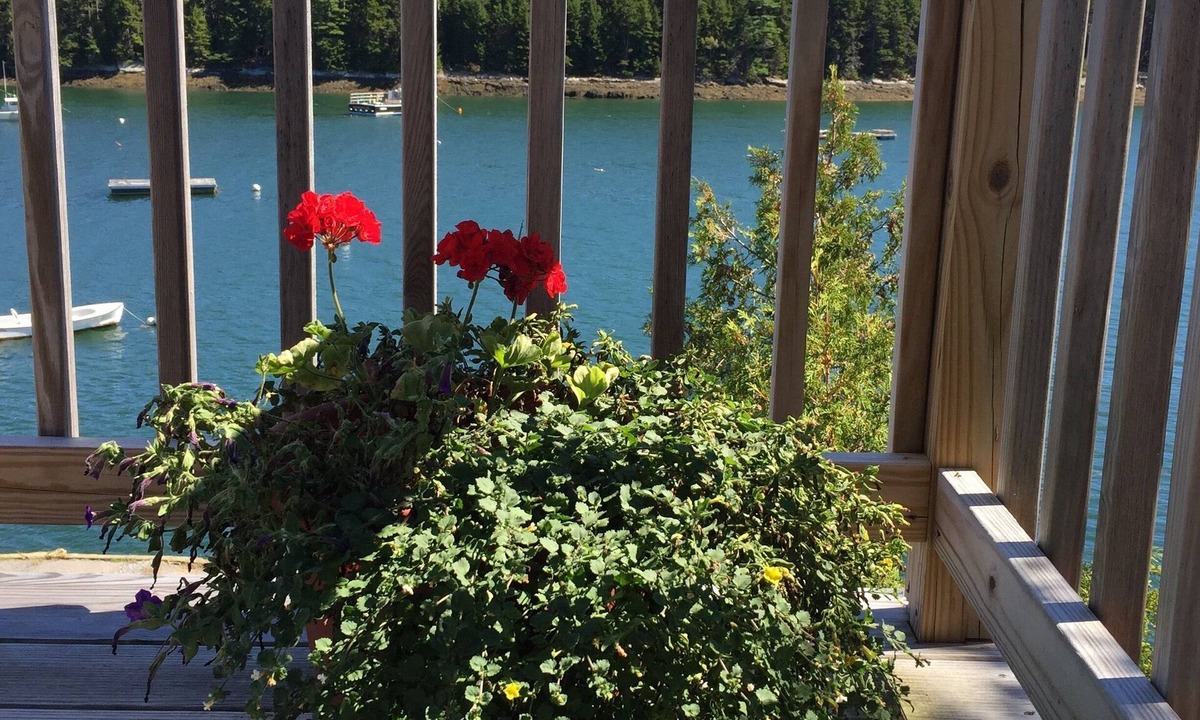 Sebascodegan Island Cottage | Oceanfront cottage with dock and float on beautiful Quahog Bay