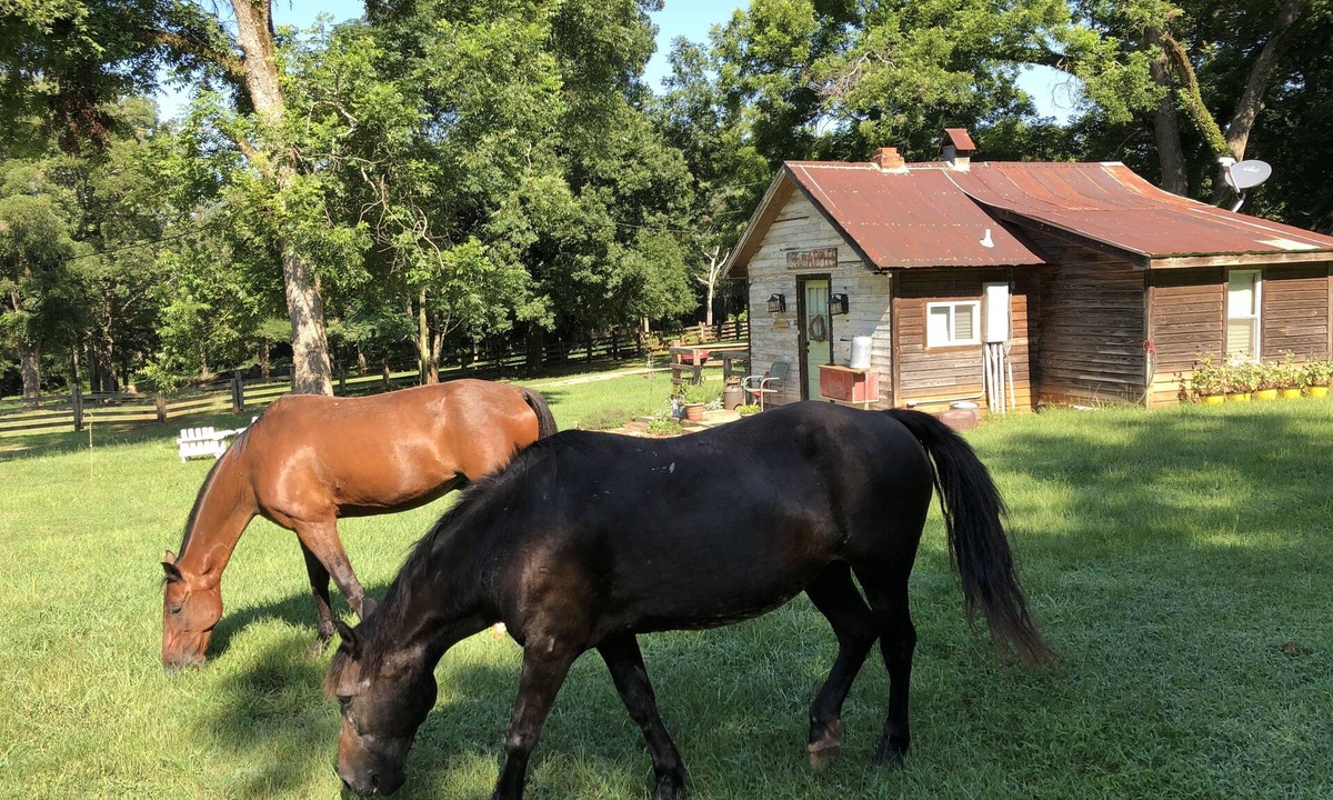 Lafayette House | Shoofly Farm - Applehouse Cottage Luxury stay - staff - Pickleball +Breakfast