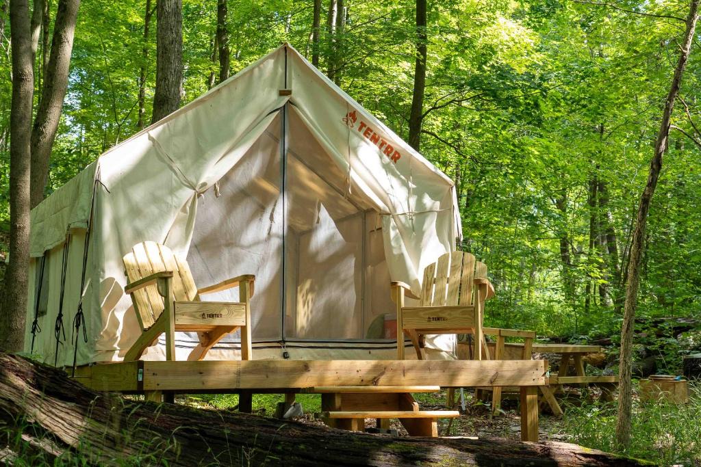 Staatsburg Other | Tentrr State Park Site - Mills Norrie State Park Site A