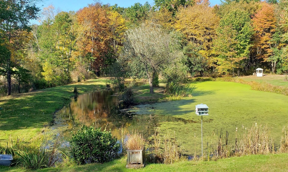 Tillson Apartment | The Loft at 'Blue Heron Watch' Nature Getaway