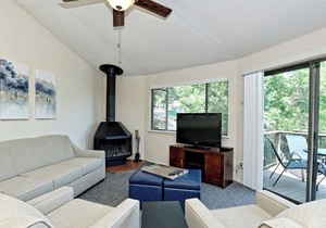 Red Bud #4 - Lake Villa with Hot Tub Access