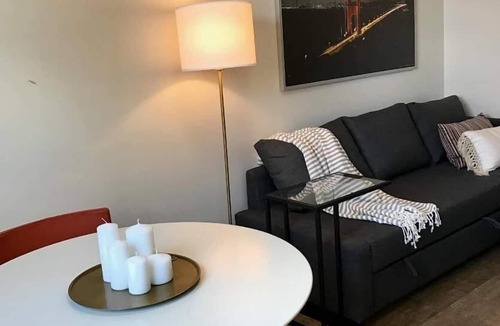 Downtown San Jose Apartment | 310-1 Bedroom Gem San Pedro Square San Jose!