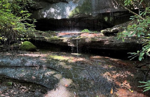 Pisgah Forest House | Camp Shady Pines | Luxury Blue Ridge Mountain Retreat