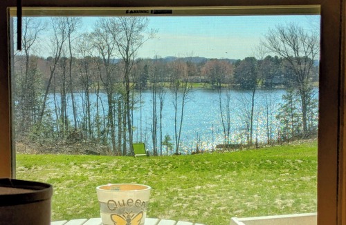 Alden Cabin | Cozy 2 Bedroom Cabin in Serene Bellaire/Alden with LakeViews-Bumbleebee Bungalow