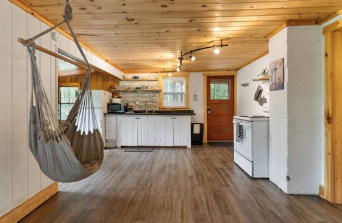 Bitely Cabin | Cozy 2 bedroom cabin on channel with lake access