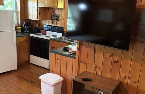 Jerome Cabin | Cozy 2-bedroom cabin on Goose Lake in beautiful Southern Michigan.
