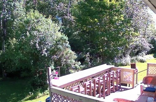 East Jordan House | Cozy 4br 3 bath home with acreage and a creek just minutes from Boyne Mountain
