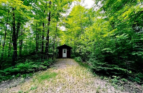 White Lake Cabin | Cozy Cabin with Bunk Beds Surrounded by Nature near White Lake, Wisconsin