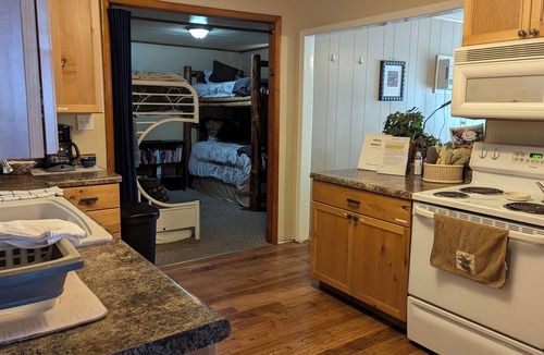 White Pine House | Cozy Cottage w/Sauna & EV 14-50 Outlet! HOT TUB available April - October