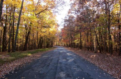Huddleston House | Cute and Comfy Cabin, Stunning Lakefront Views