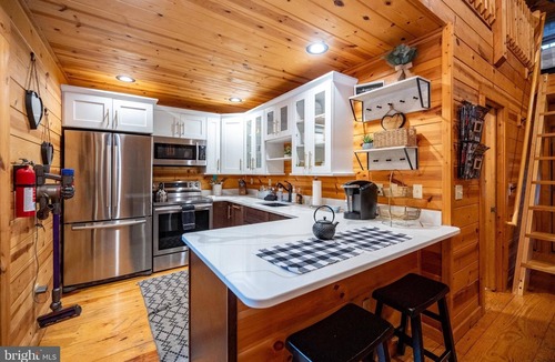 Thayerville Ski Chalet | Dizzy's Den-5 minute walk to lake access-rentals-formerly the "Love Shack"