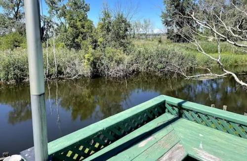 Pigeon Cottage | Five minutes from Caseville on the canal to the bay!