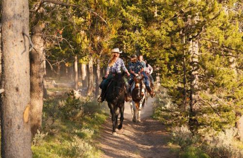 Flagg Ranch Cabin | Headwaters Lodge & Cabins at Flagg Ranch