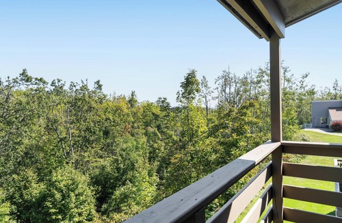 Harbor Springs Condo | Hideaway Valley #3 - Close to Ski Hills & Harbor Springs! Seasonal Pool!