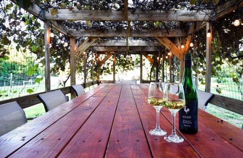 Boyce House | Hot Tub - Fire Pit - Fast Wi-Fi - Pet Friendly - Wine Country Escape