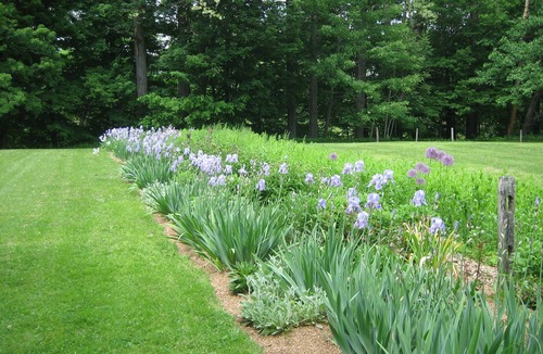 Kerhonkson Cottage | Hudson Valley, the Gunks - Beautiful Cottage