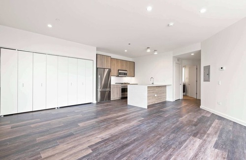 Pulaski Park Apartment | Huge Luxury Studio Apartment in Nevele22 - Chicago River West