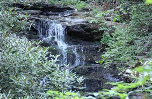 Clayton Resort | Kingwood Resort & Golf Club