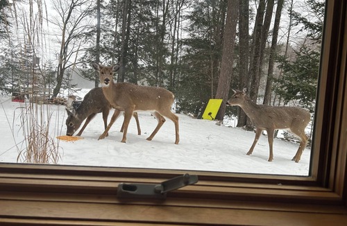 Sayner House | Lakefront Home - Family Vacations, Ice Fishing, Snowmobiling