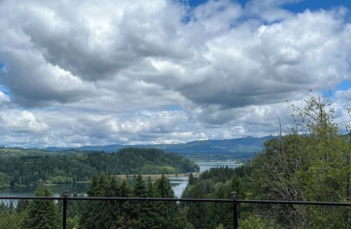 Mossyrock House | Mossyrock, WA Charming Retreat with Lake Views!