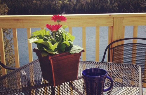 Sebascodegan Island Cottage | Oceanfront cottage with dock and float on beautiful Quahog Bay