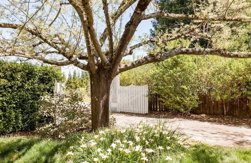 Graton House | Peaceful, charming, cottage in wine country. Beautiful yard!