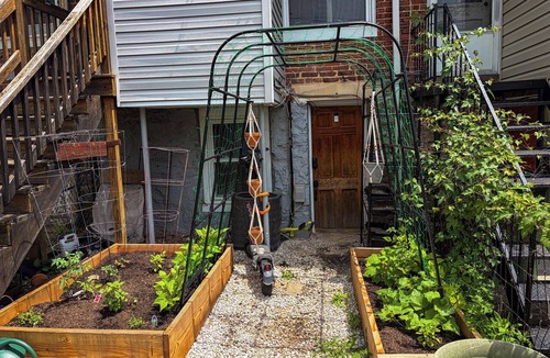 Hampden House | Perfect 2-bedroom apartment in house with private entrance in Hampden Baltimore