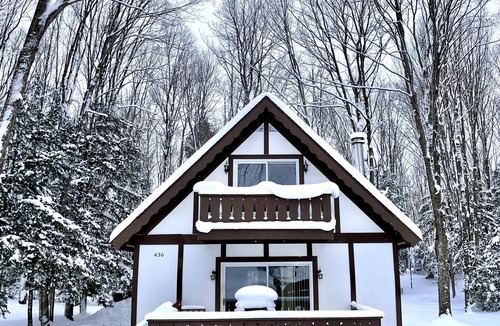 Harbor Springs House | Relax at the Cozy Cabin, just a 5-min drive to it all