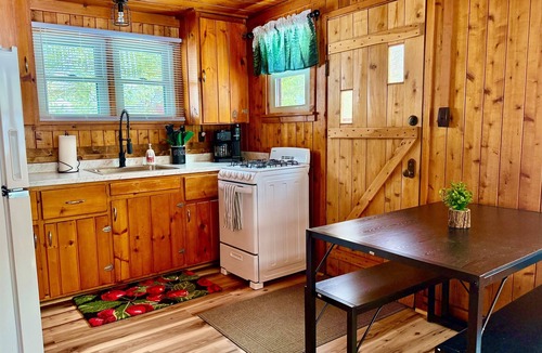 Central Lake Cottage | Riverfront,Dog Friendly,Walk to Dwtn and Park w/Beach