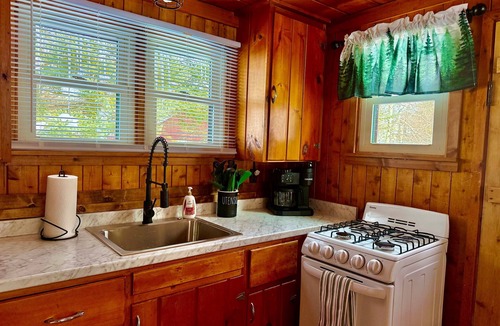 Central Lake Cottage | Riverfront,Dog Friendly,Walk to Dwtn and Park w/Beach