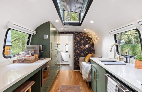 Pisgah Forest Villa | Royal Fern in Pisgah Forest