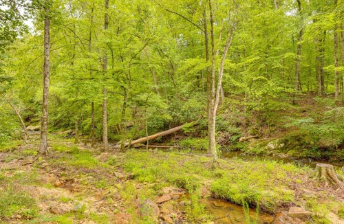 Titus House | Rustic Creekside Cabin w/Access to Jordan Lake