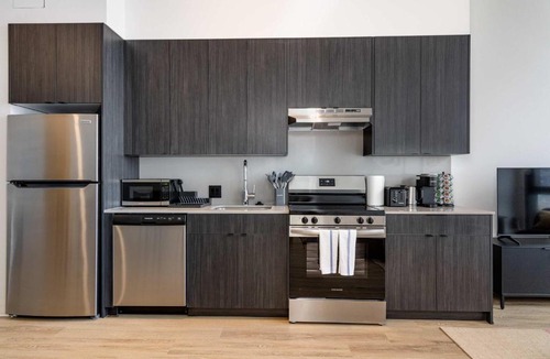 The Loop Apartment | South Loop Rooftop With In and Out Parking 3