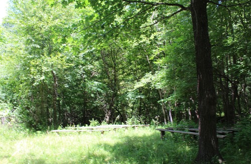 Moscow Cabin | Studio Cabin #6 near beautiful Cedar River.