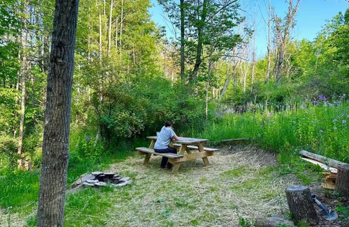 Town of Fulton Cabin | Wildflower Tiny Cabin & Majestic Waterfall