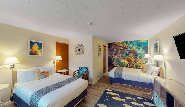 4 Studios walkable to downtown, Dog Friendly, WiFi