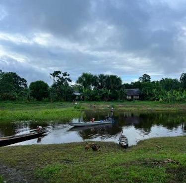 Amazon eagle Explore in Nauta