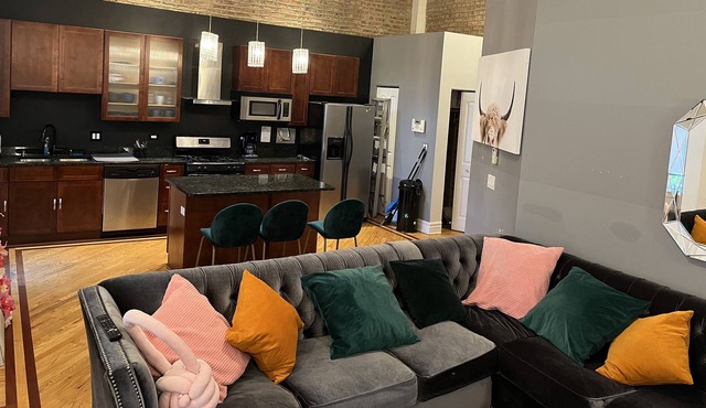 Beautiful Condo - Bronzeville