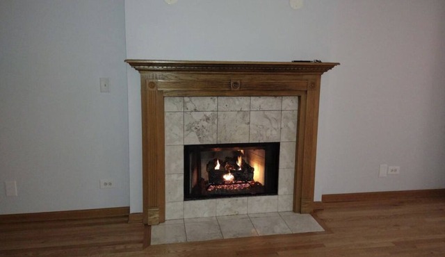 Beautiful condo in desirable neighborhood close to downtown Chicago