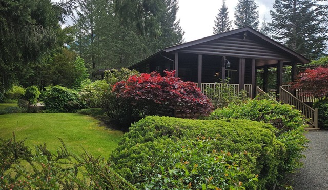 Charming 2-bedroom home with hot tub and creek view minutes from Packwood