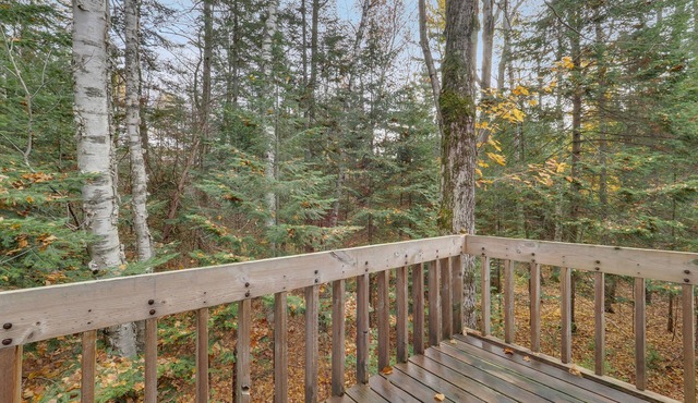 Harbor Cove Condo Near Ski Resorts