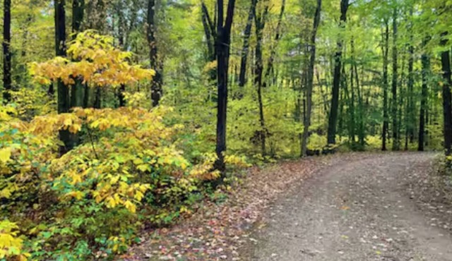 Midnight Hollow in Fennville