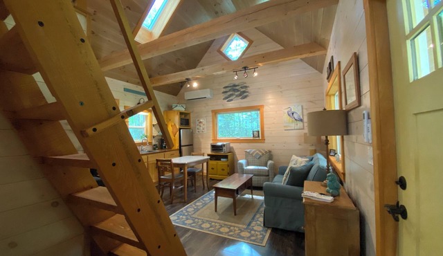 Next Avail. Aug. 22, 3 night min., AC, 1st flr King & Full Loft, Pets Free