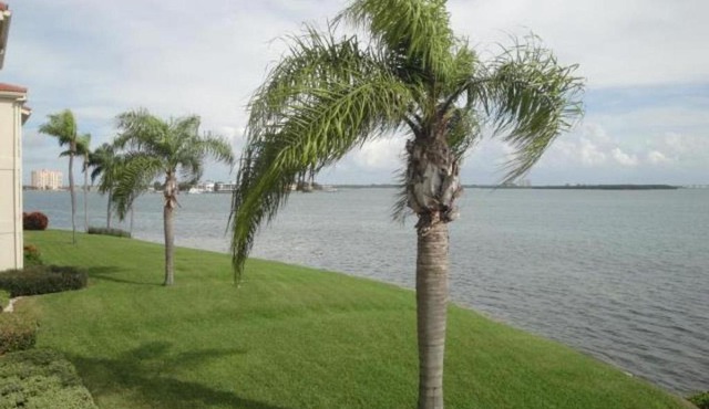 Palma Perfect Florida Getaway