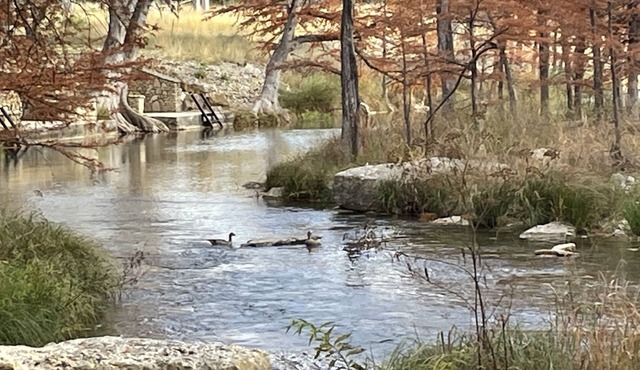 Peaceful River Cabin #1- Paradise River Bend