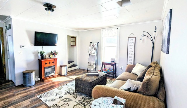 Pet-friendly family farm near lakes with great view of stars & northern lights