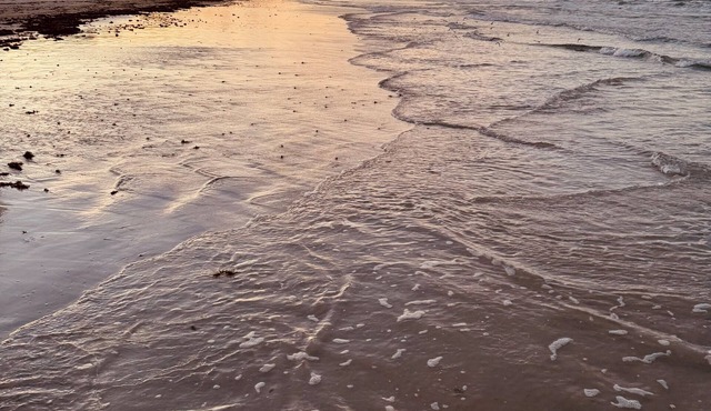SAND & SEA BEACH RETREAT